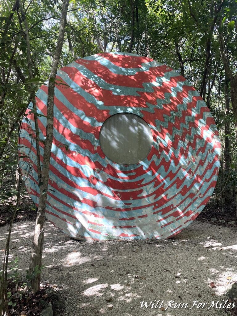 a circular object in the woods