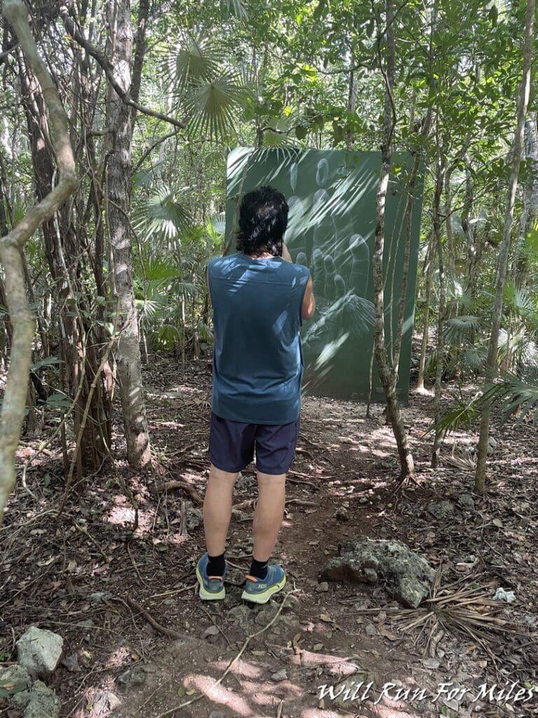 a man standing in the woods