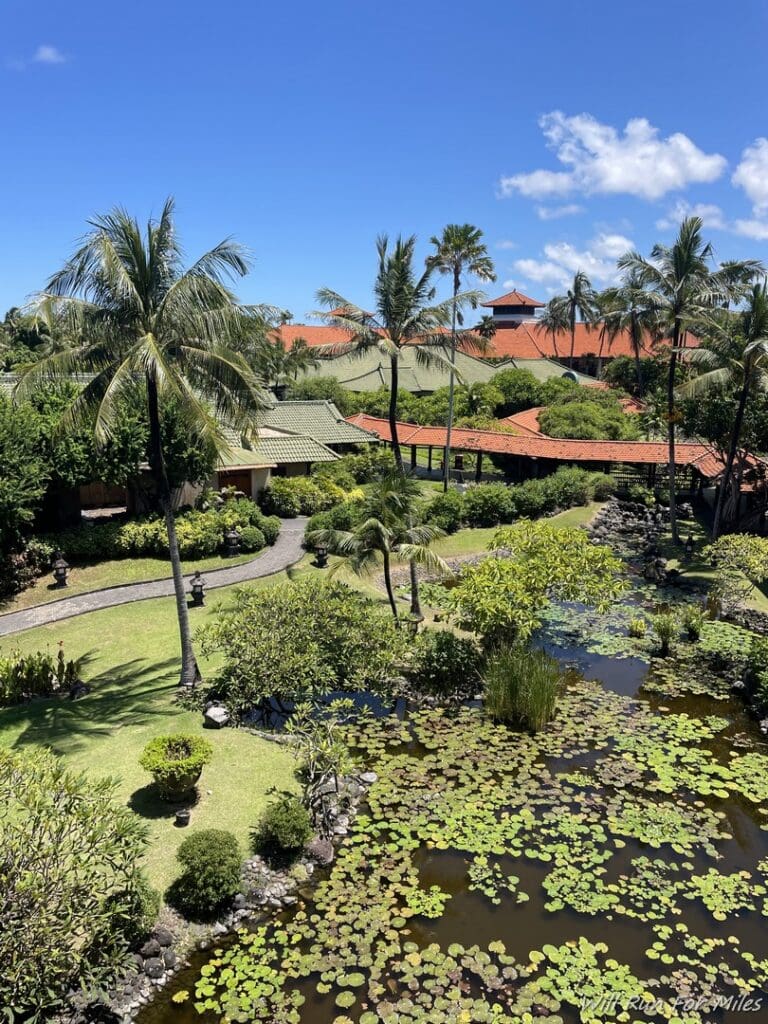 a pond with water plants and trees