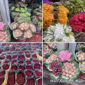 a collage of different flowers