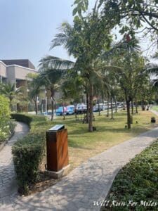 a walkway with trees and bushes