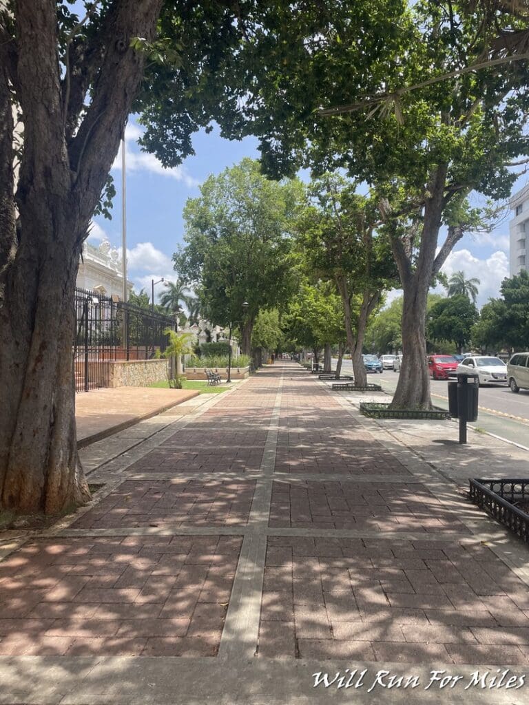 a brick walkway with trees and cars on the side