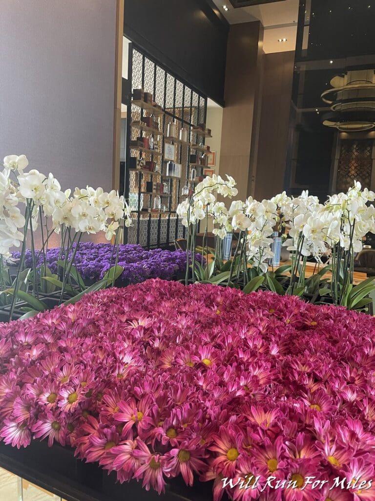 a group of flowers in a room